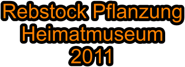 Rebstock Pflanzung Heimatmuseum 2011