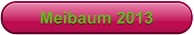 Meibaum 2013